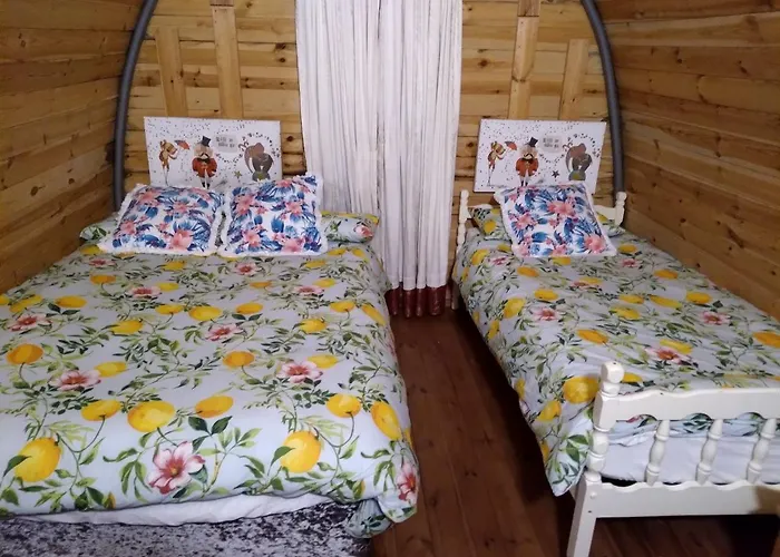 Cozy Ireland Glamping Pod In Country Clare Vakantiehuis Effernan